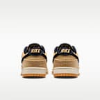 Dunk Low Retro SE Men's Shoes