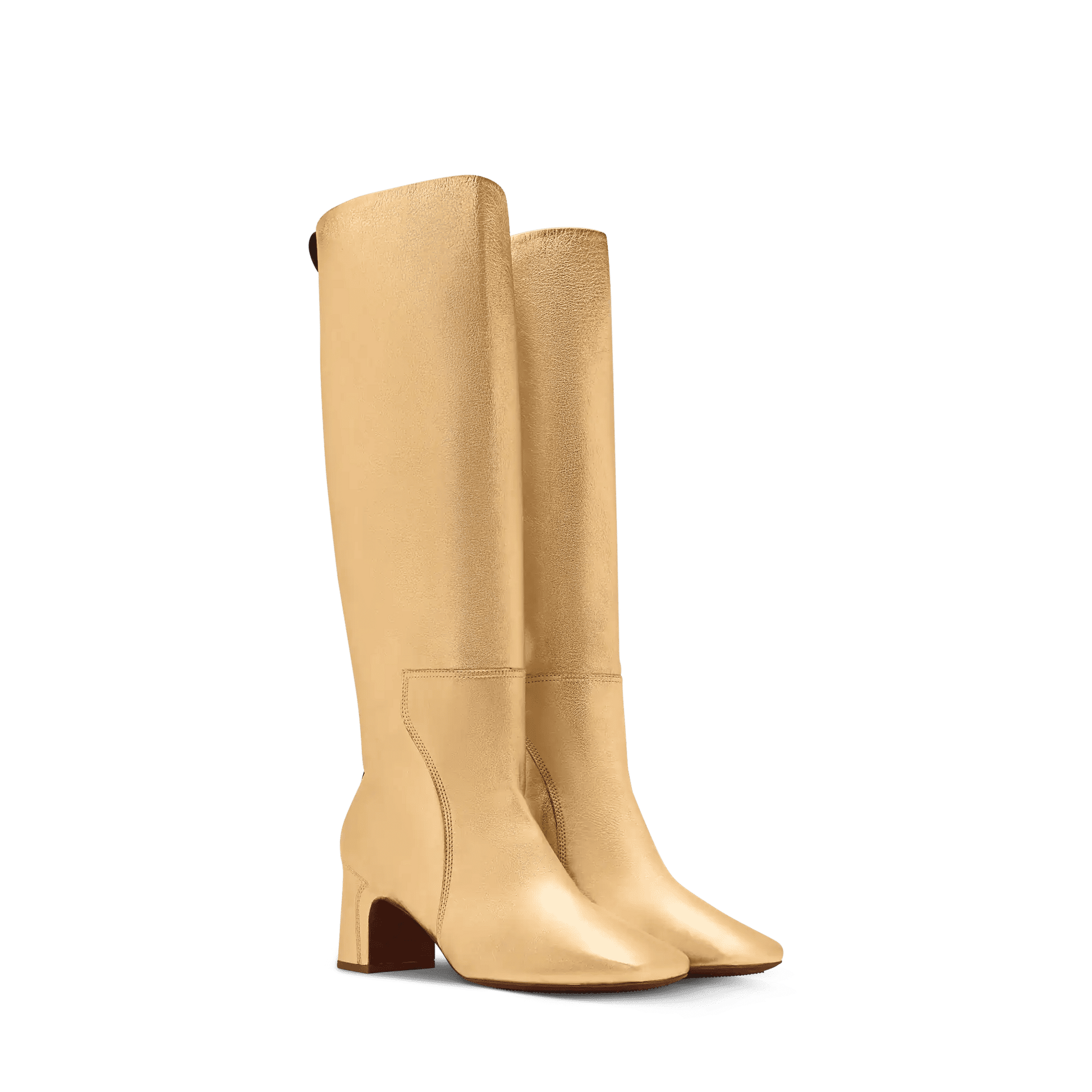 Women's Avalon High Boot Metallic Calf Leather 1AJOEQ