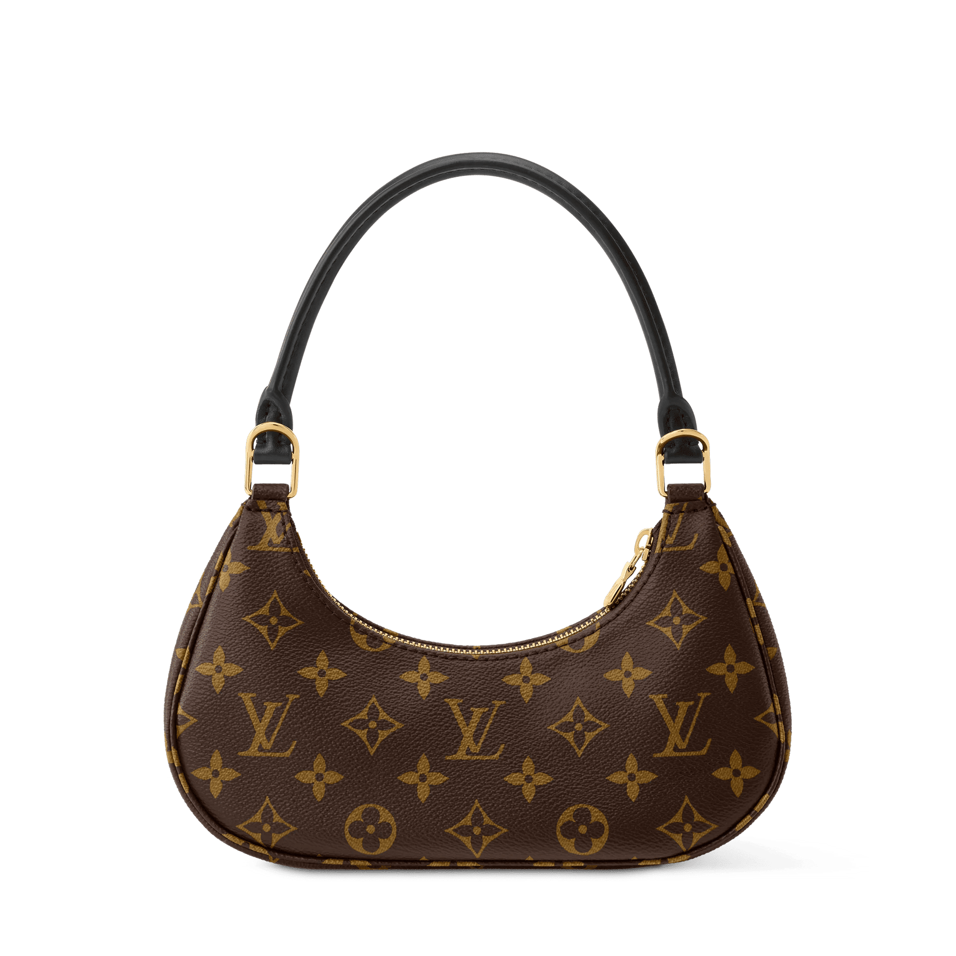 Women's Catchy PM Monogram Coated Canvas Nano Bag M25223