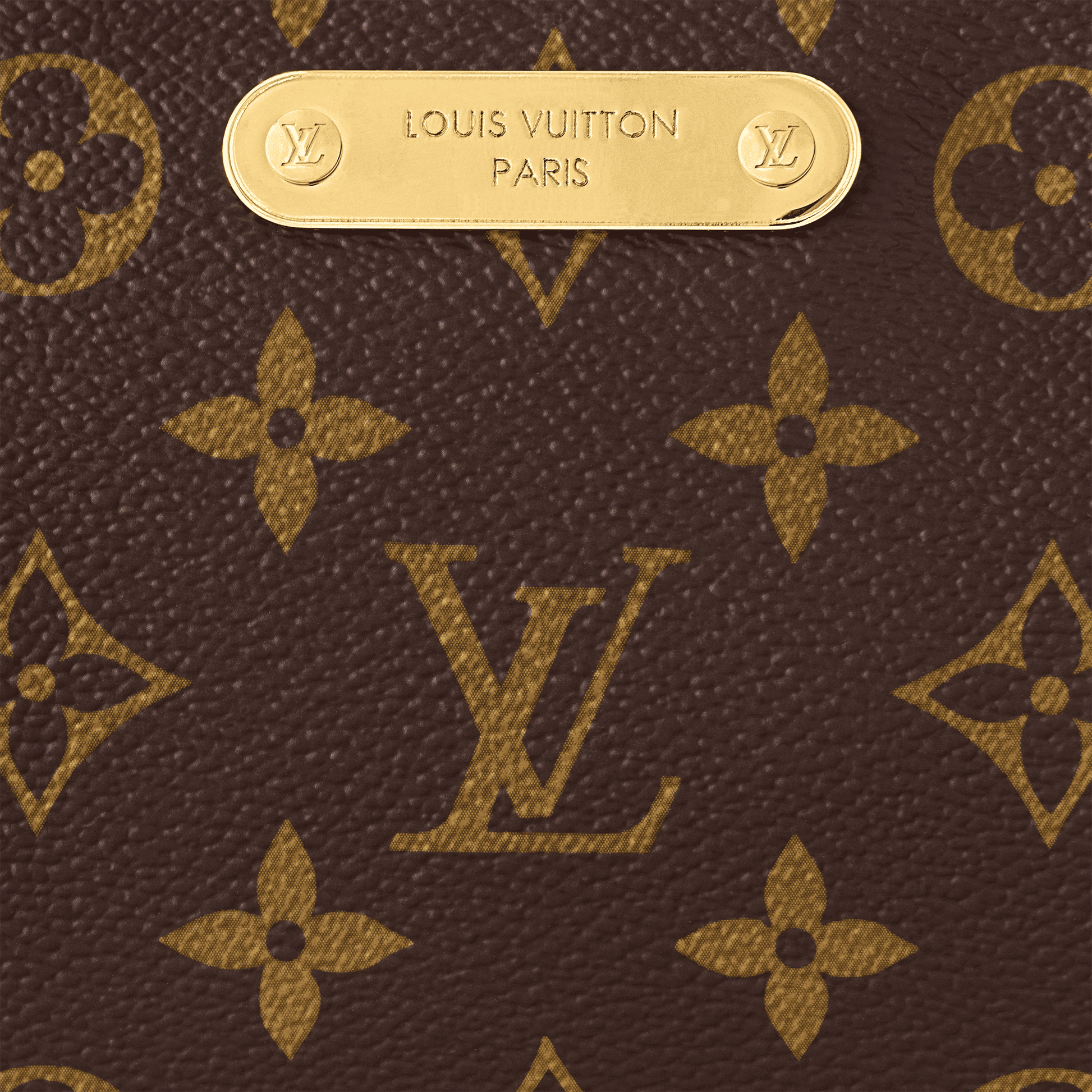 Women's Pochette Liv Monogram Canvas