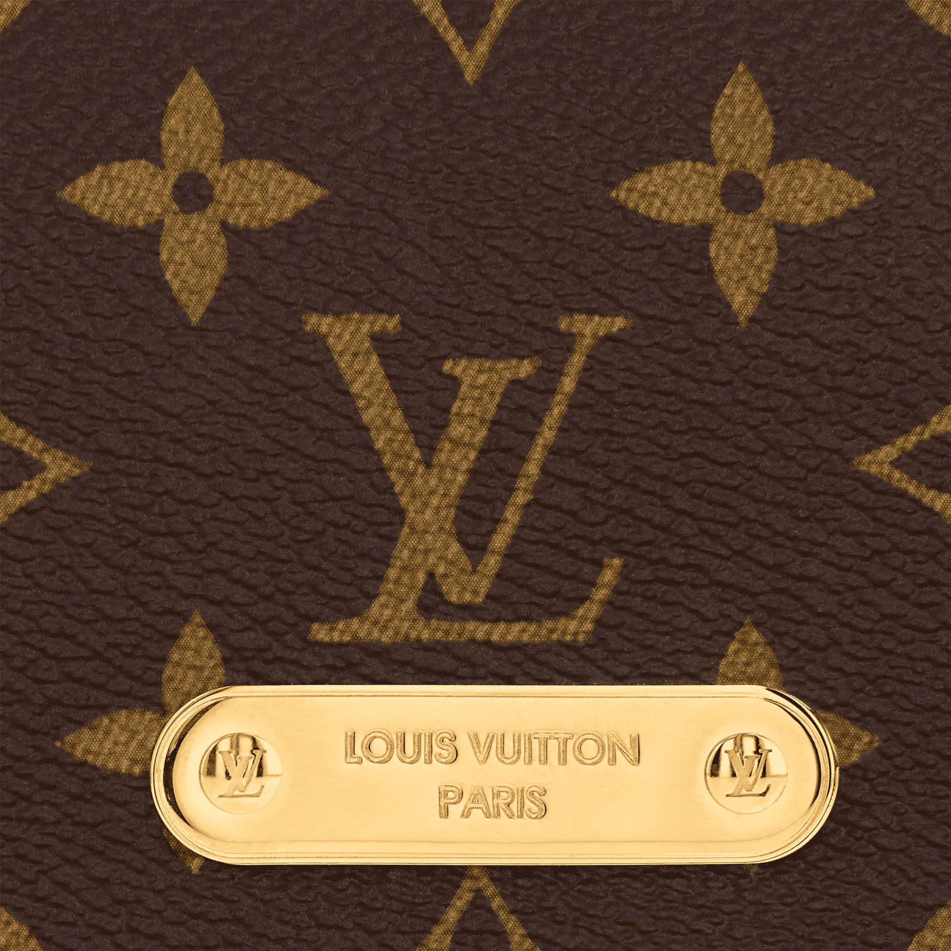 Women's Wallet On Chain Lily Monogram Coated Canvas Chain Wallet M82509