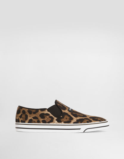 DG Sailing Canvas Leo-Print Sneakers Print